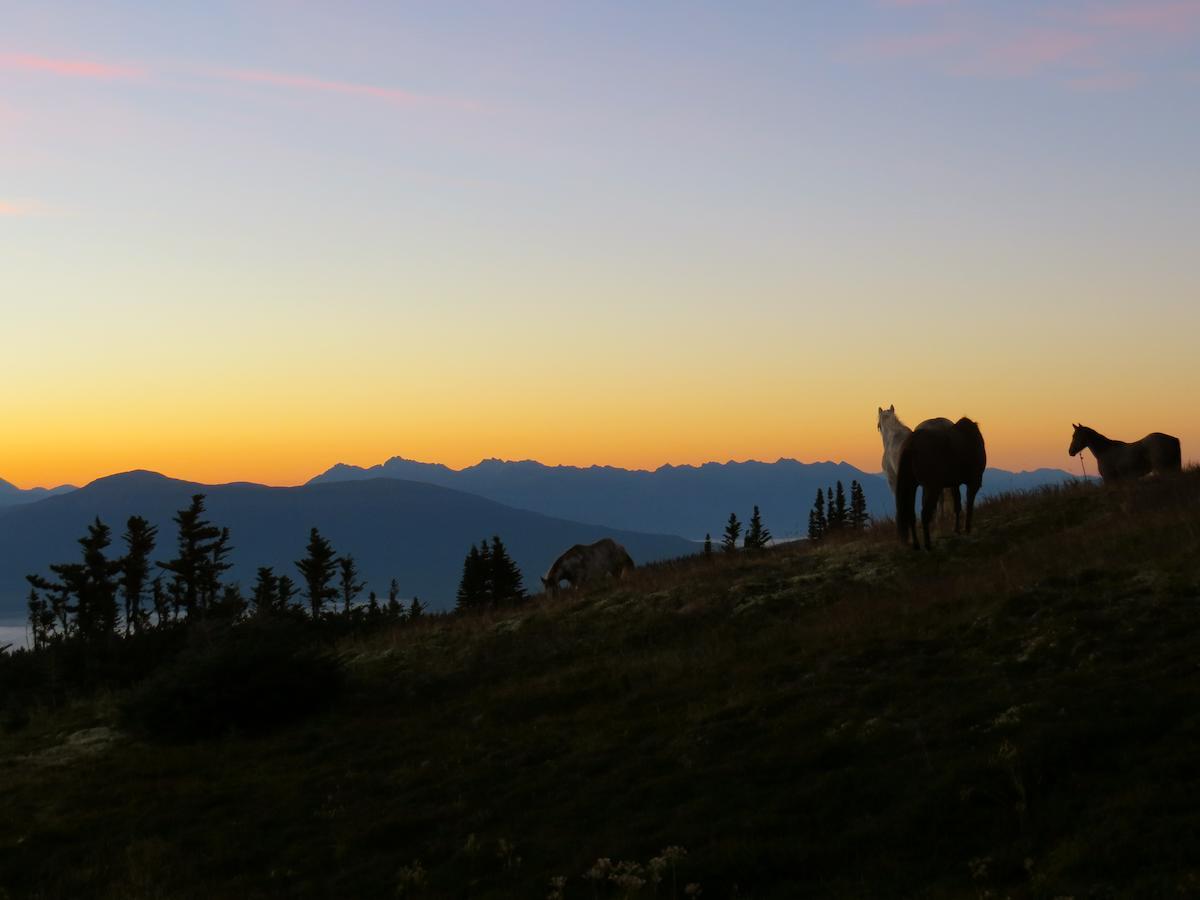 Bear Claw Lodge Kispiox Eksteriør bilde