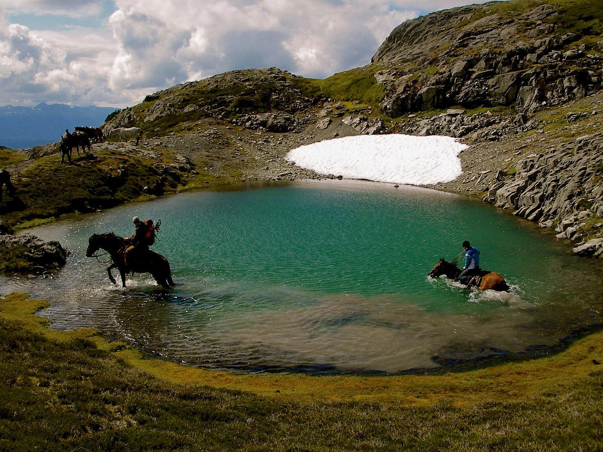Bear Claw Lodge Kispiox Eksteriør bilde