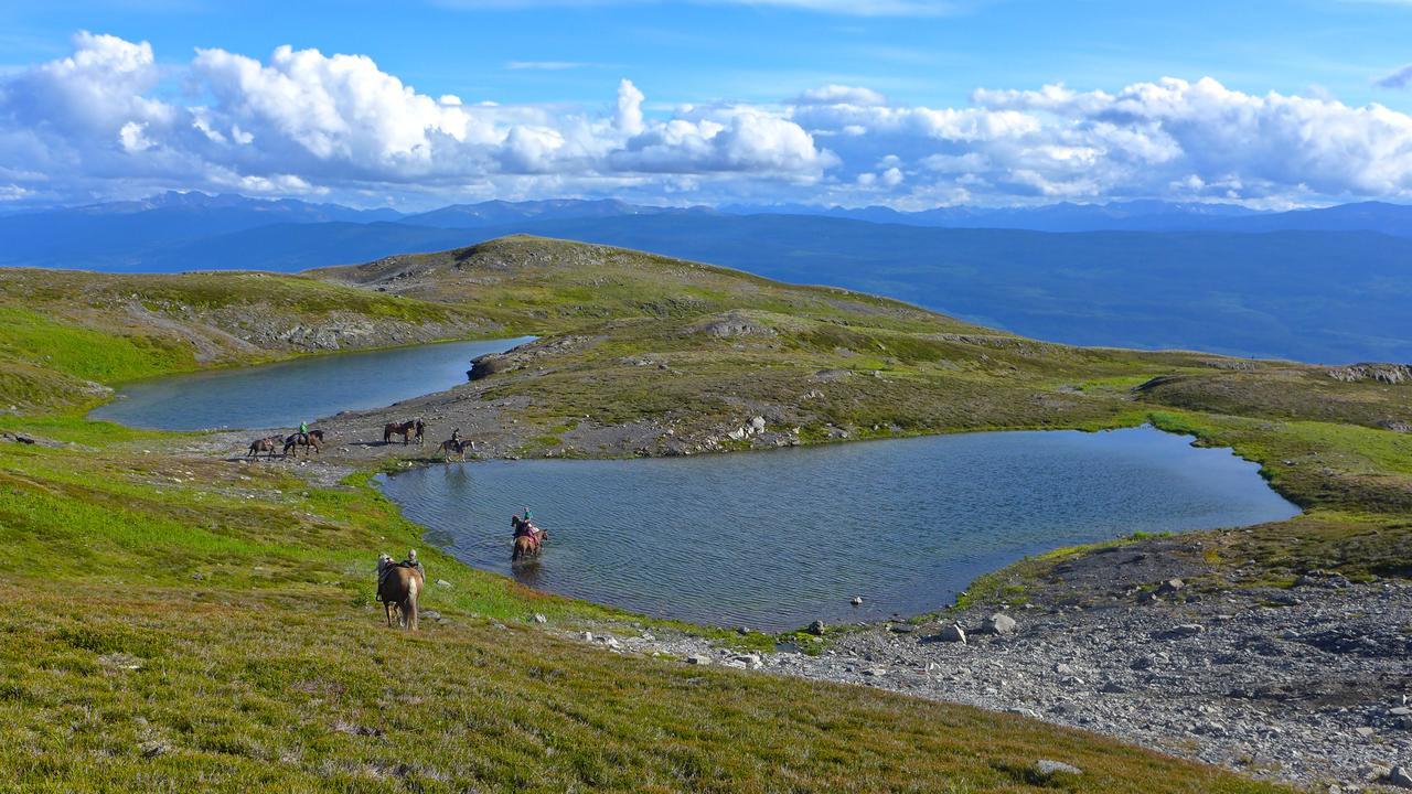 Bear Claw Lodge Kispiox Eksteriør bilde