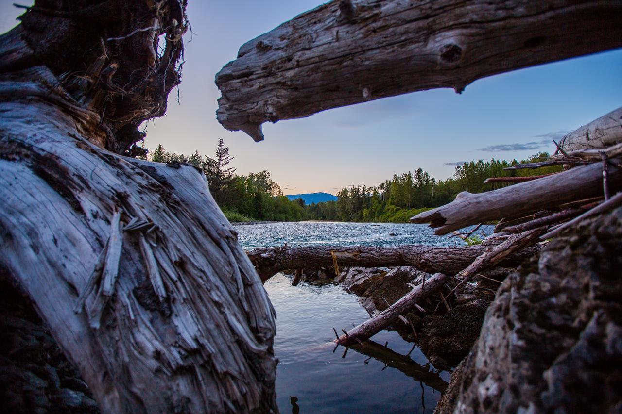 Bear Claw Lodge Kispiox Eksteriør bilde