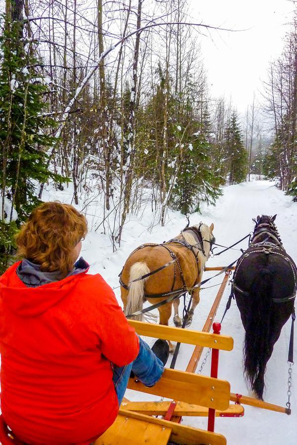 Bear Claw Lodge Kispiox Eksteriør bilde