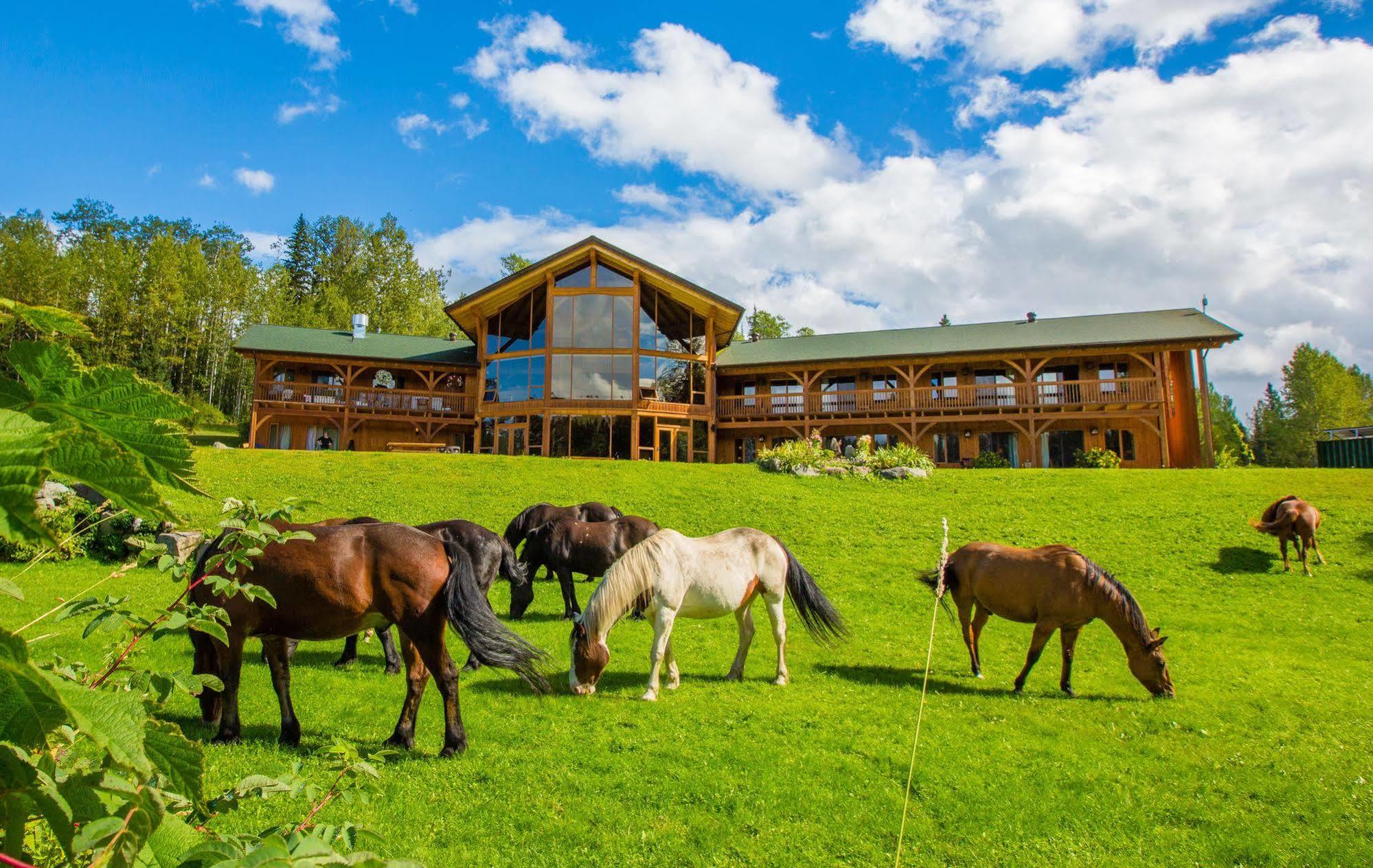Bear Claw Lodge Kispiox Eksteriør bilde